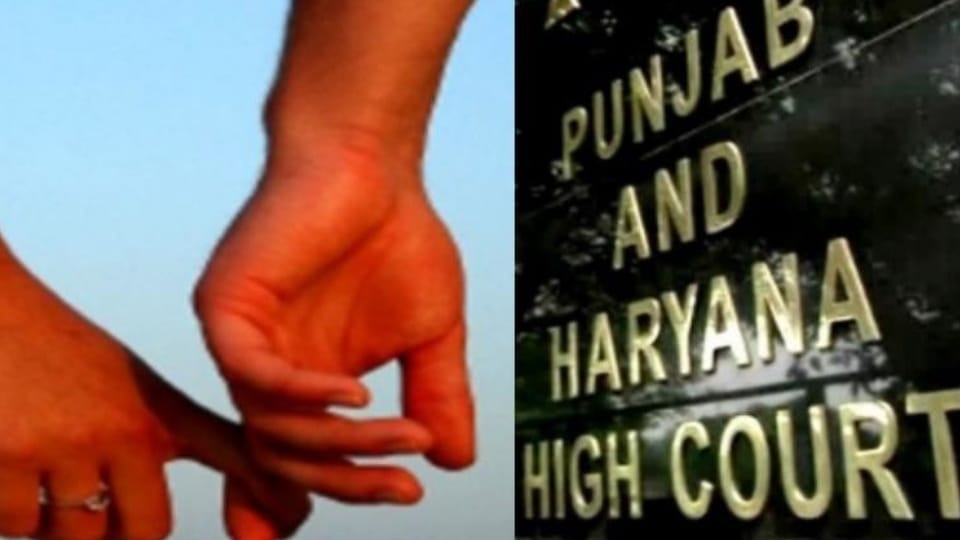 Punjab-Haryana High Court expressed concern over increasing number of petitions by youths seeking protection to be in consensual relationship