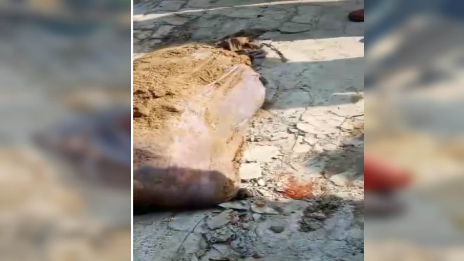 UP Crime: Police have arrested four accused including girlfriend in murder case of SP leader Rajesh Agarwal in Bijnor