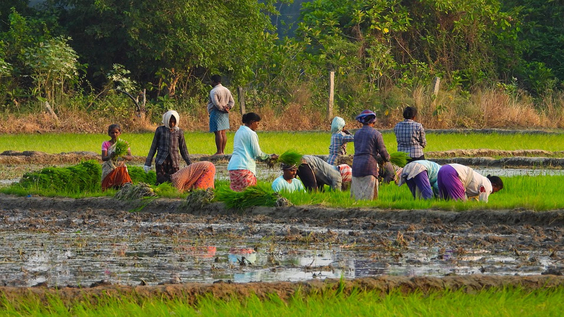 This Village Where Foreign Tourists Banned Government Banned for Many Years Ago