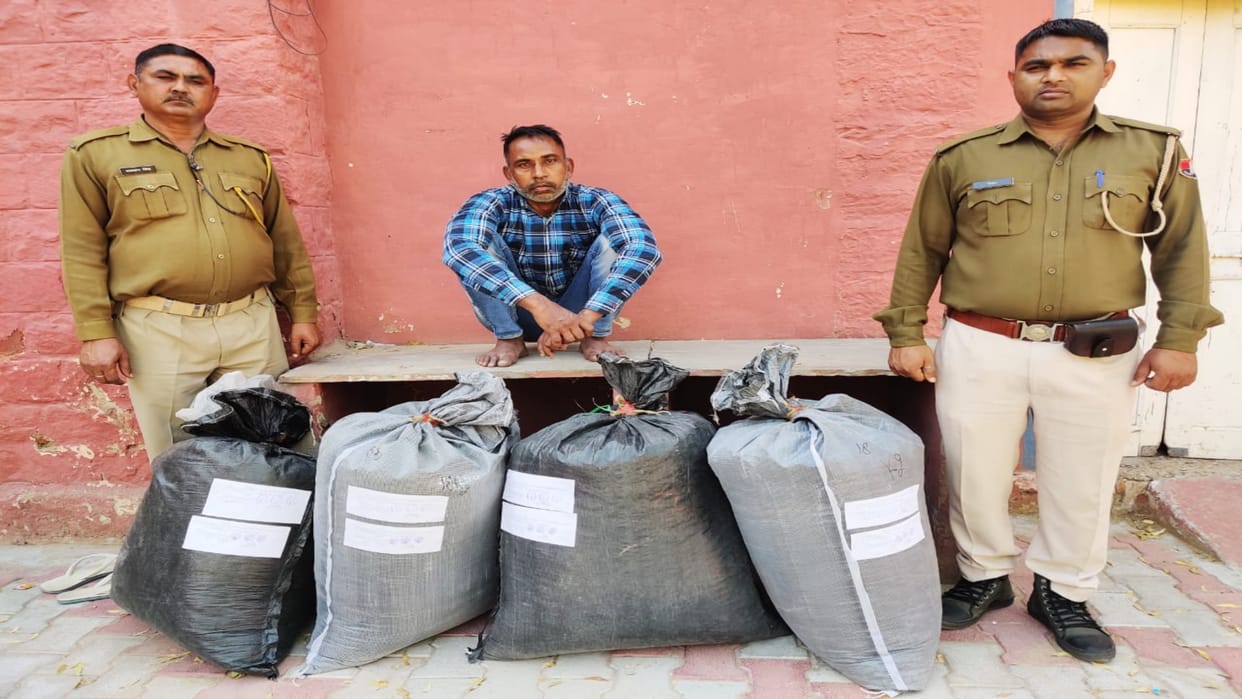 one accused arrested and 71 kg doda poppy seized from truck in Nagore