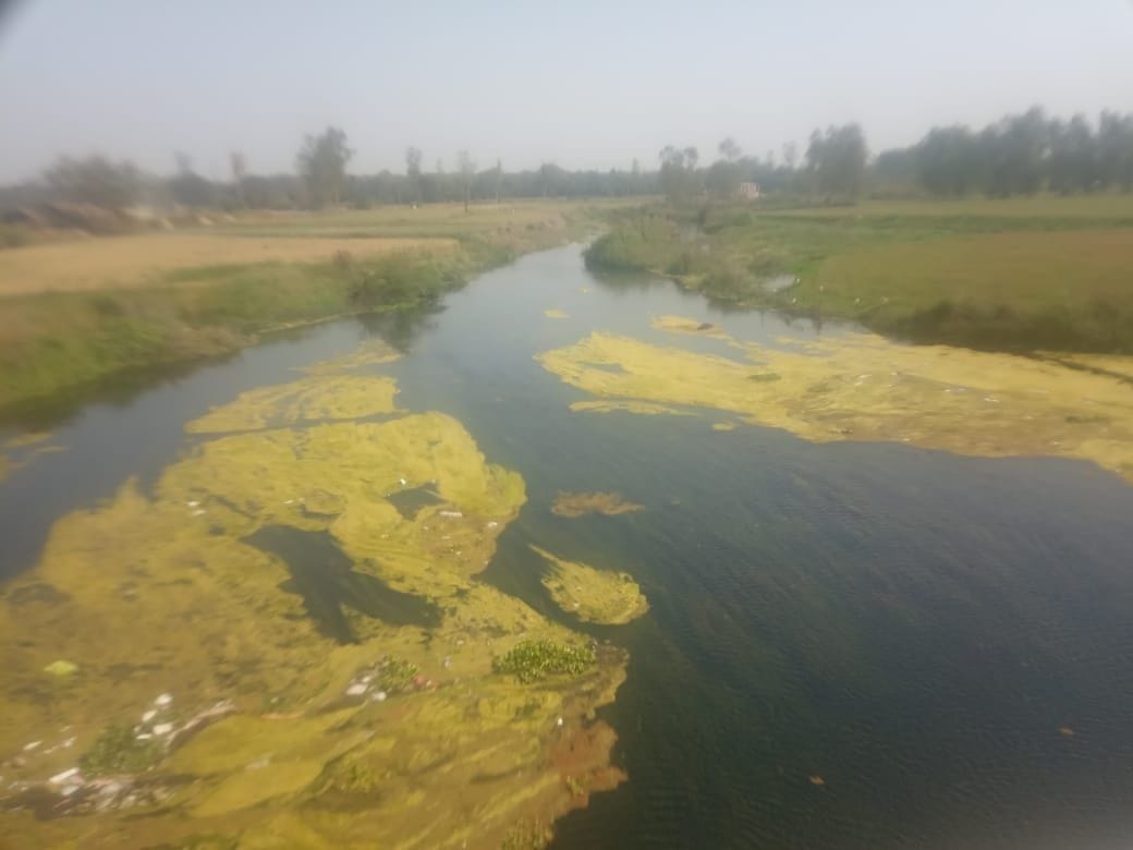 sai river polluted