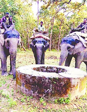 In DTR, hunters cannot do holi arbitrarily, red alert declared