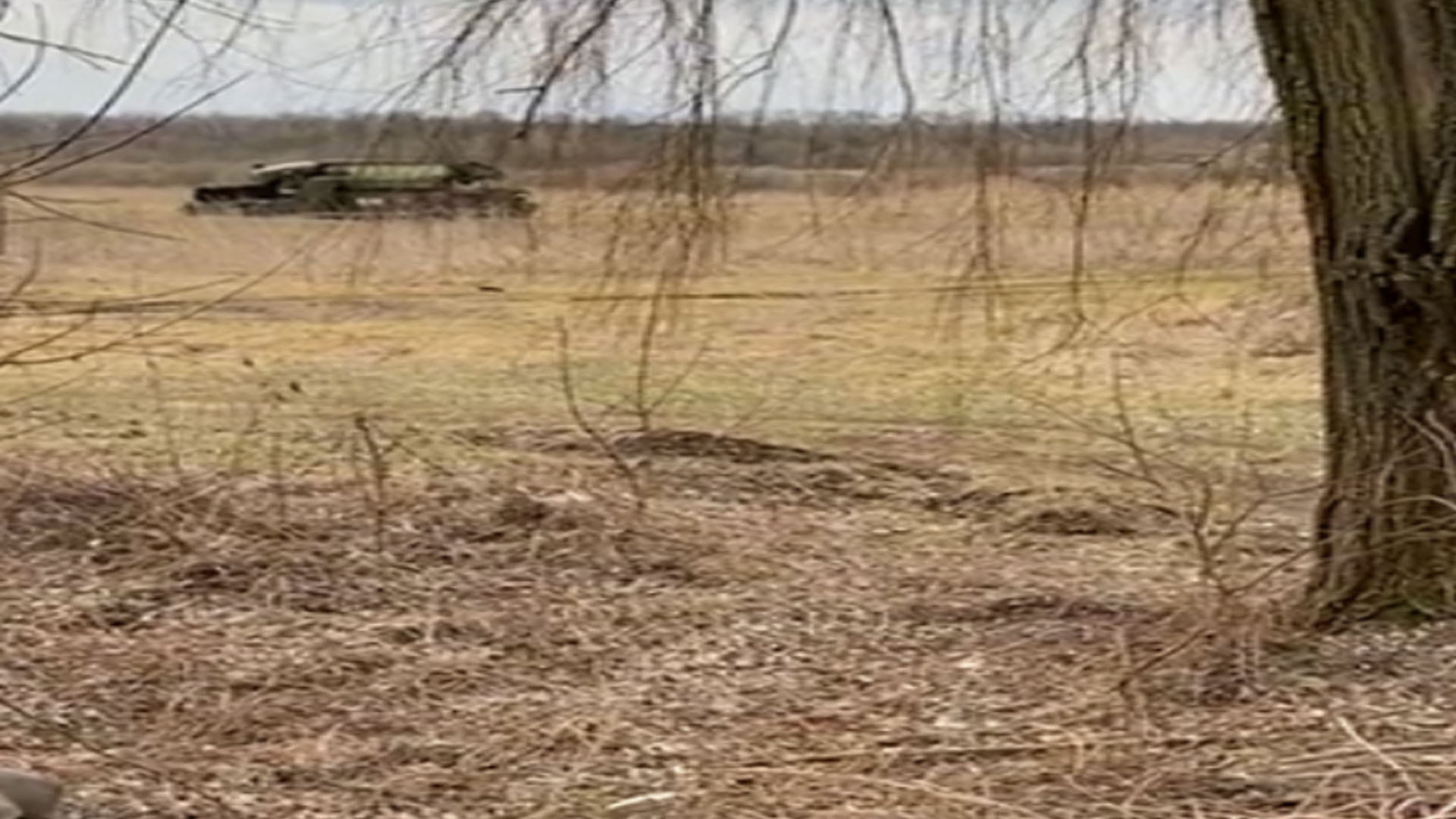 Ukrainian Farmer Went to Forest Amid Russian Attack and Became the Billionaire