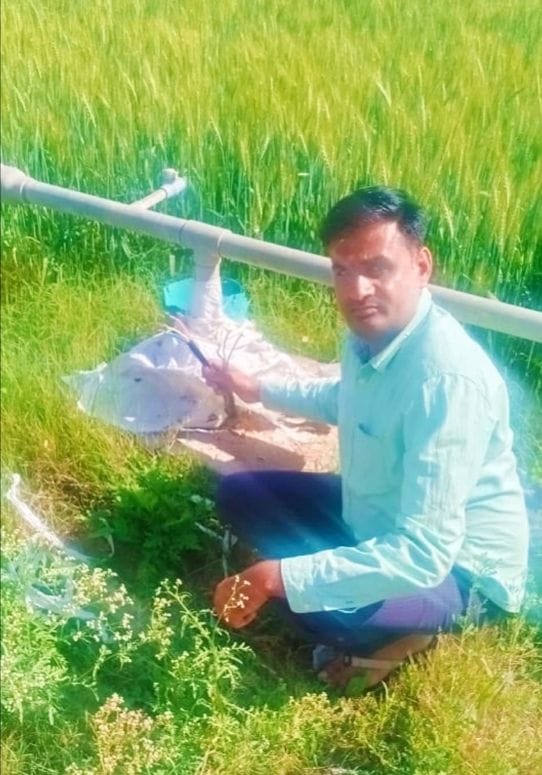 Thieves cut cables from four tube wells, farmers angry due to theft for the third time