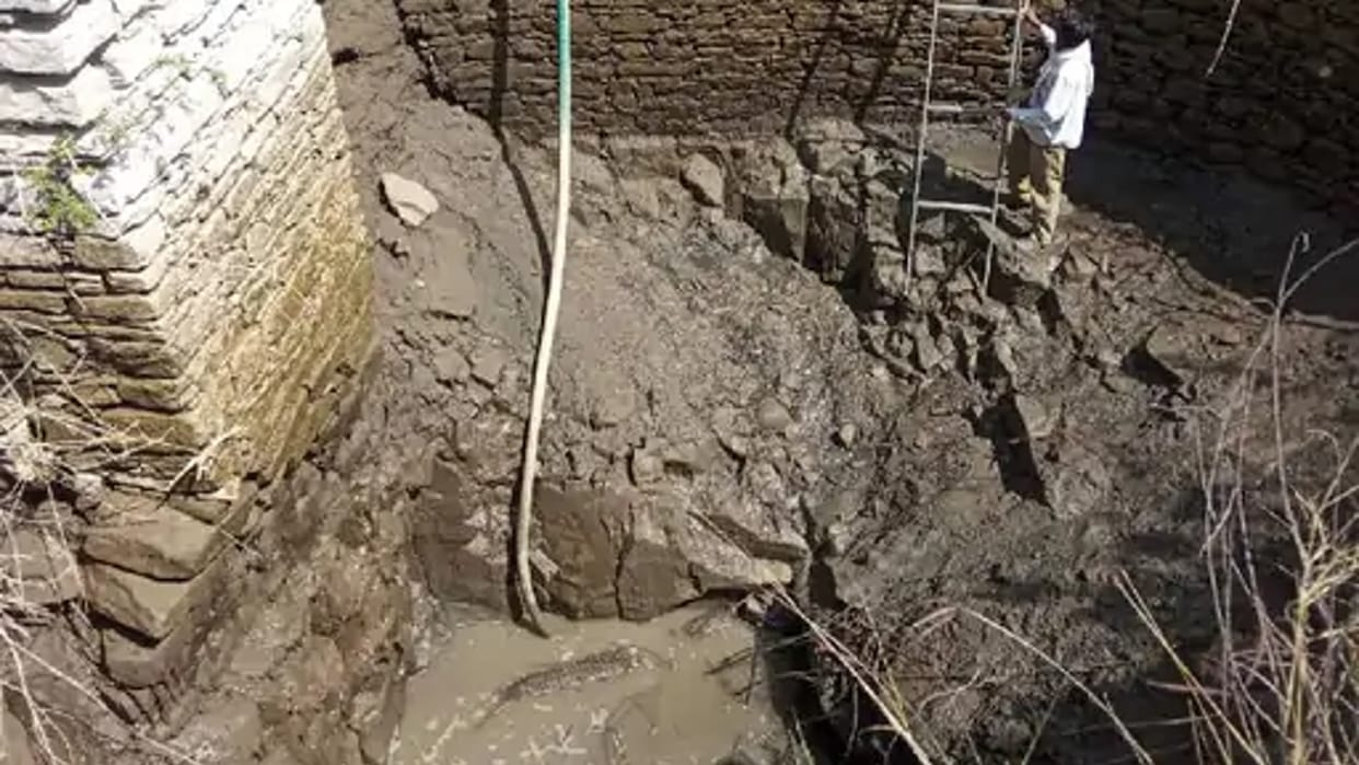 Mandsaur: 8 feet long crocodile fell in a well built in the field, released in the river after 4 hours of rescue