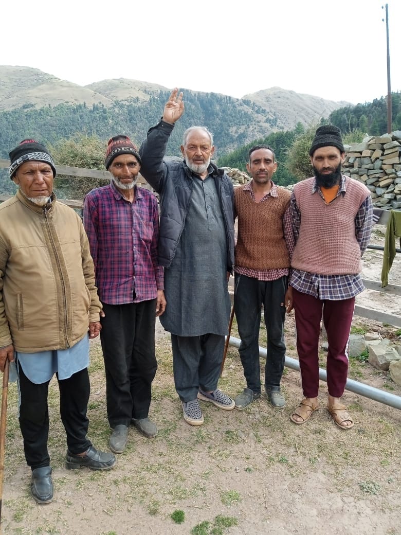 indiscriminate felling of trees