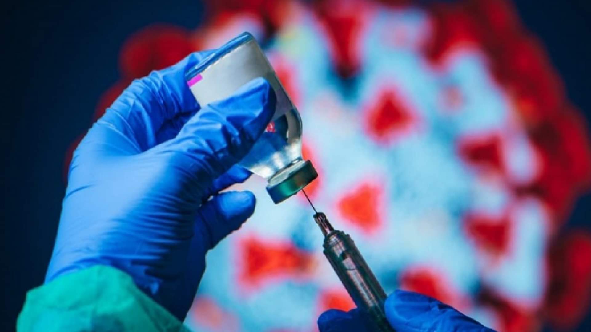 Pet Buying Guide Things To Consider Before Getting A Pet Know Details In Hindi