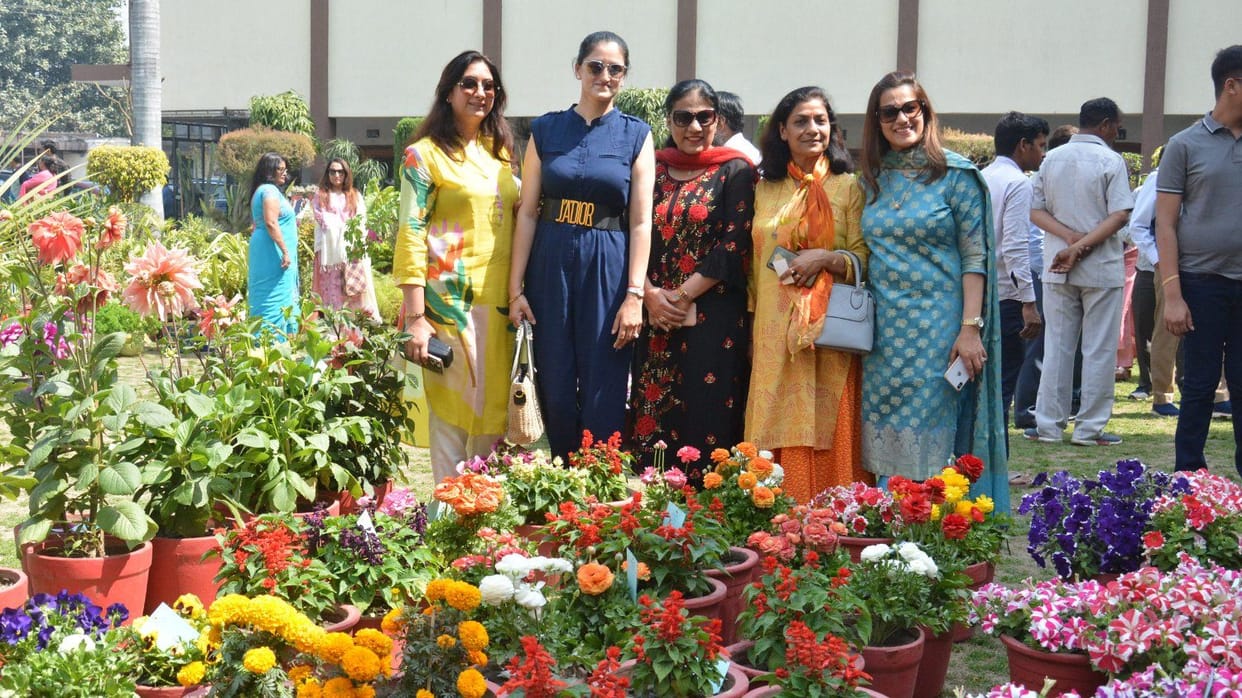 Indigenous and exotic flowers in the exhibition