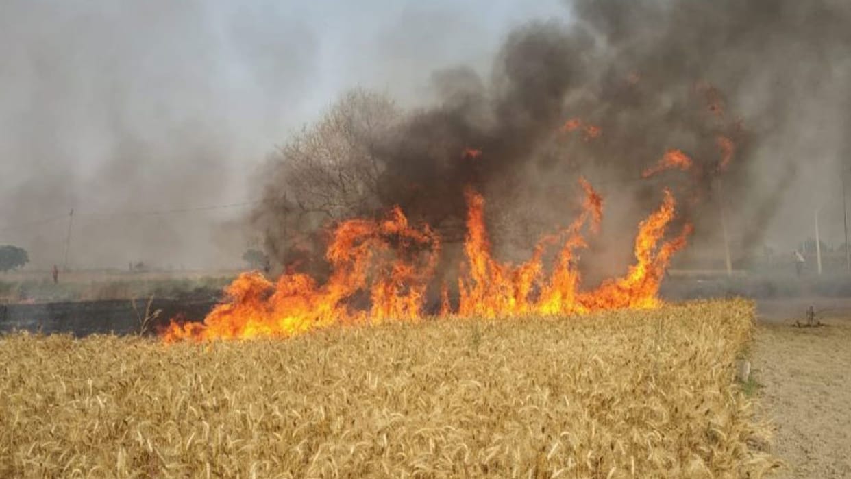 Sehore: Fire in the crops kept in trolley due to sparks of electric wires, loss of thousands