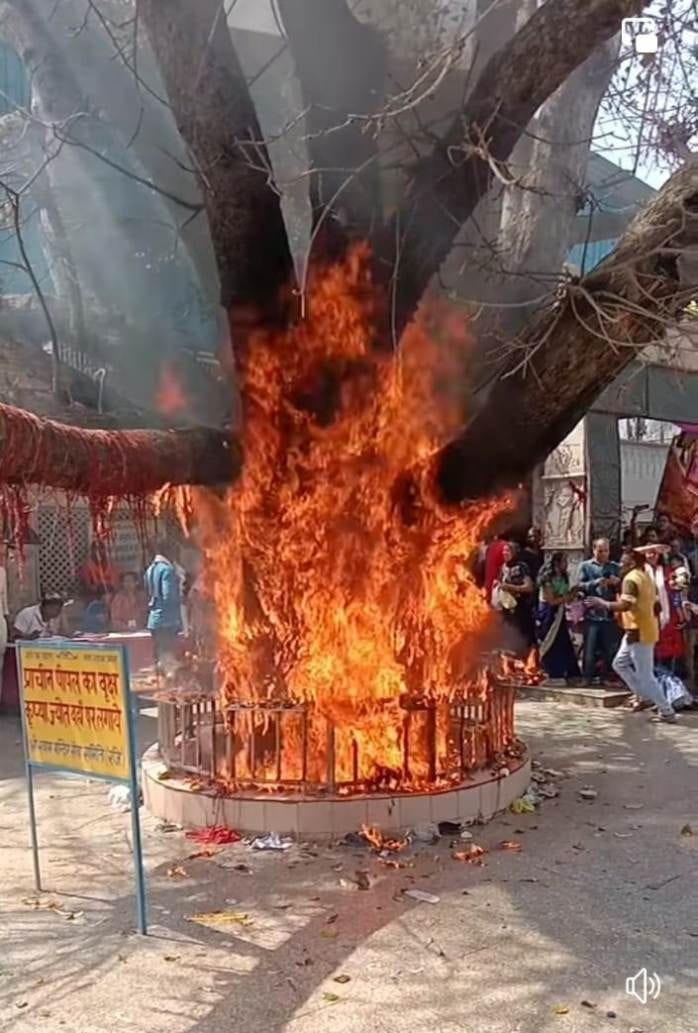 Fire in the ancient Peepal tree, there was a stir in the temple