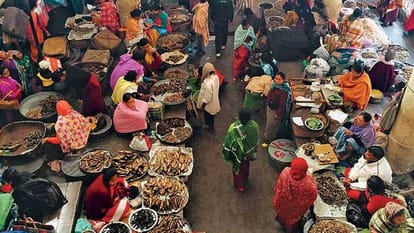 सांकेतिक तस्वीर।