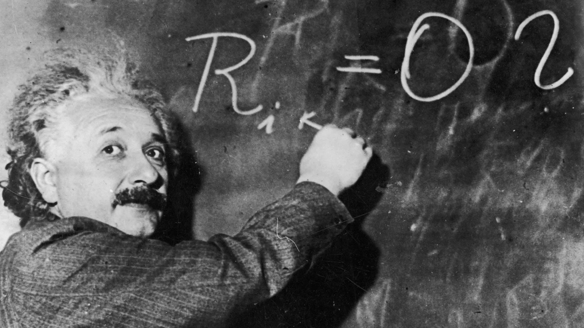 Albert Einstein Birth Anniversary interesting facts about who stole einsteins brain