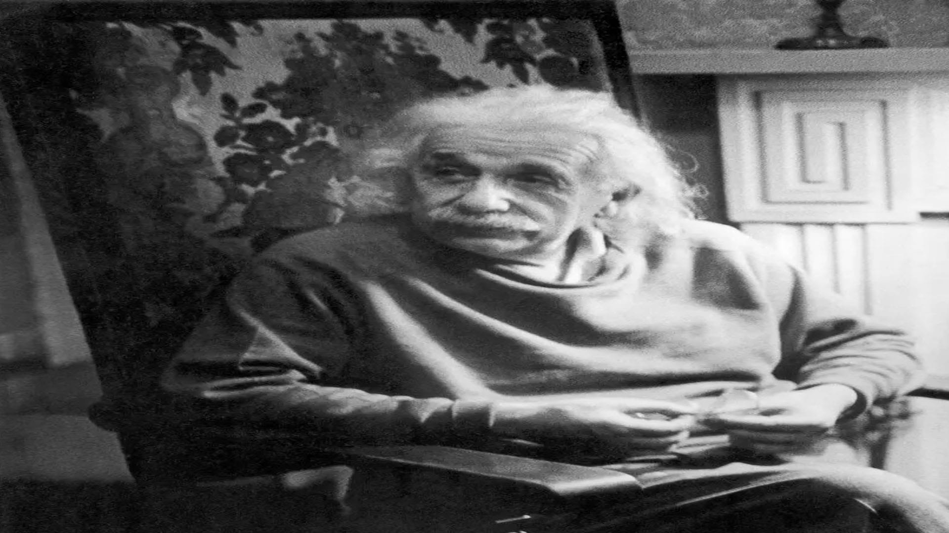 Albert Einstein Birth Anniversary interesting facts about who stole einsteins brain