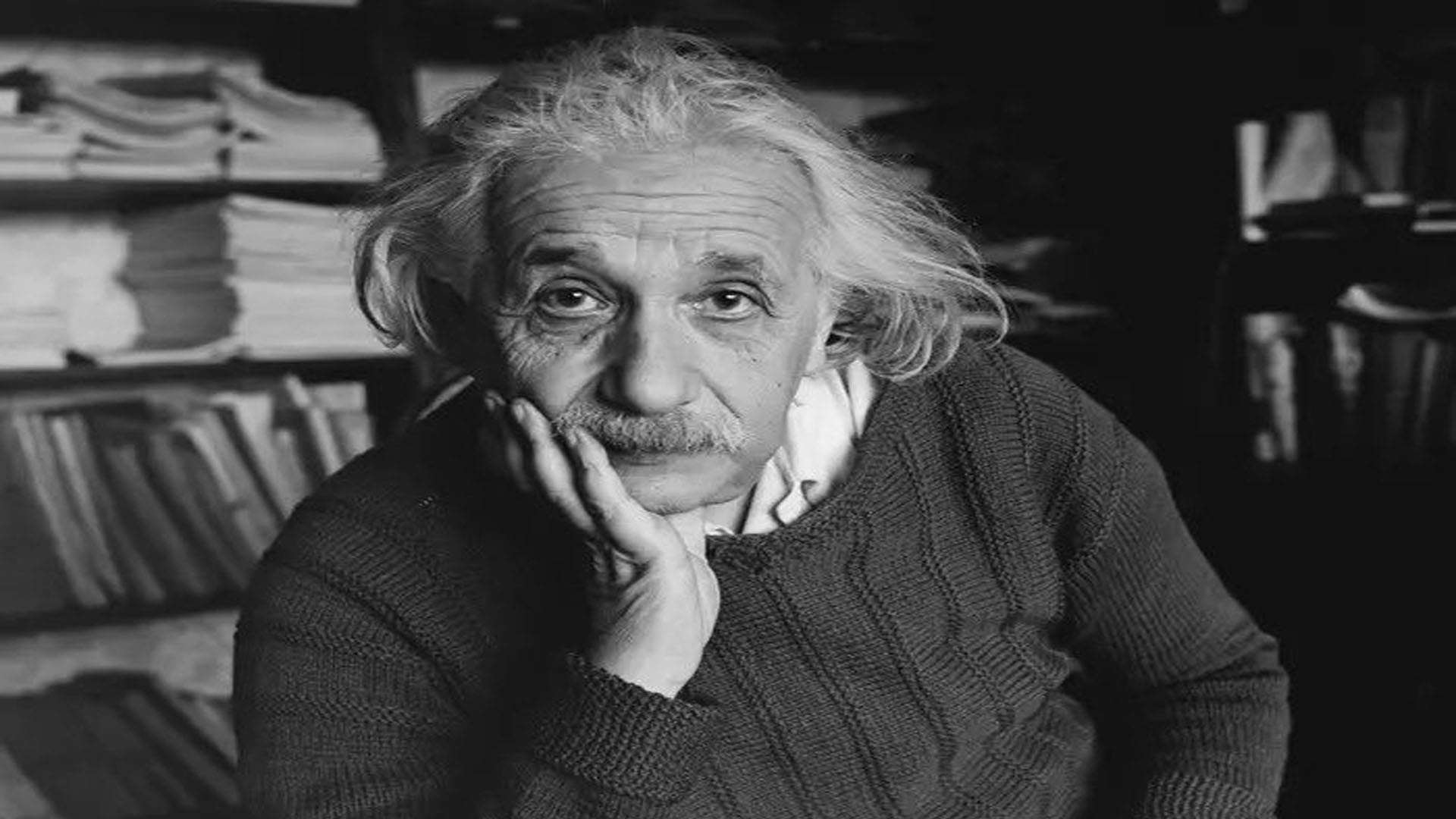 Albert Einstein Birth Anniversary interesting facts about who stole einsteins brain