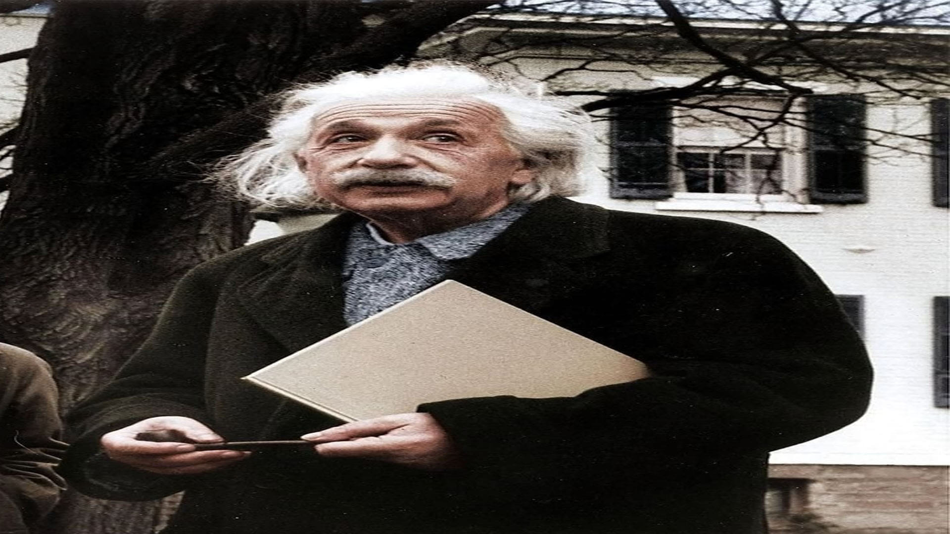 Albert Einstein Birth Anniversary interesting facts about who stole einsteins brain