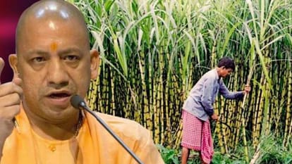 Yogi Government UP Election 2022 BJP Manifesto Farmers Youth and Women Know When Will You Get the Benefit