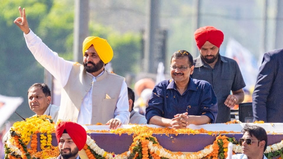 Punjab Assembly Election: 37 Aap MLAs were very common in field of politics