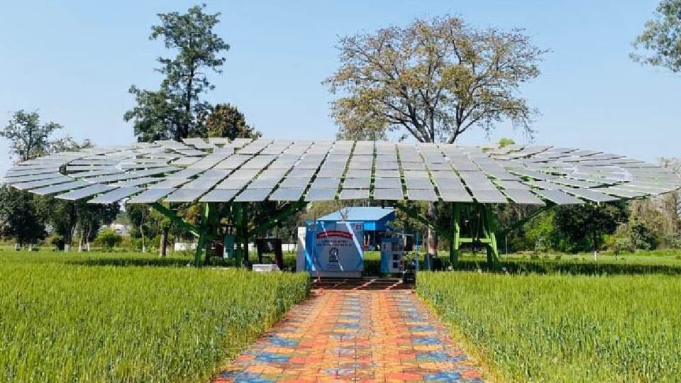 Biggest solar tree built in Ludhiana of Punjab