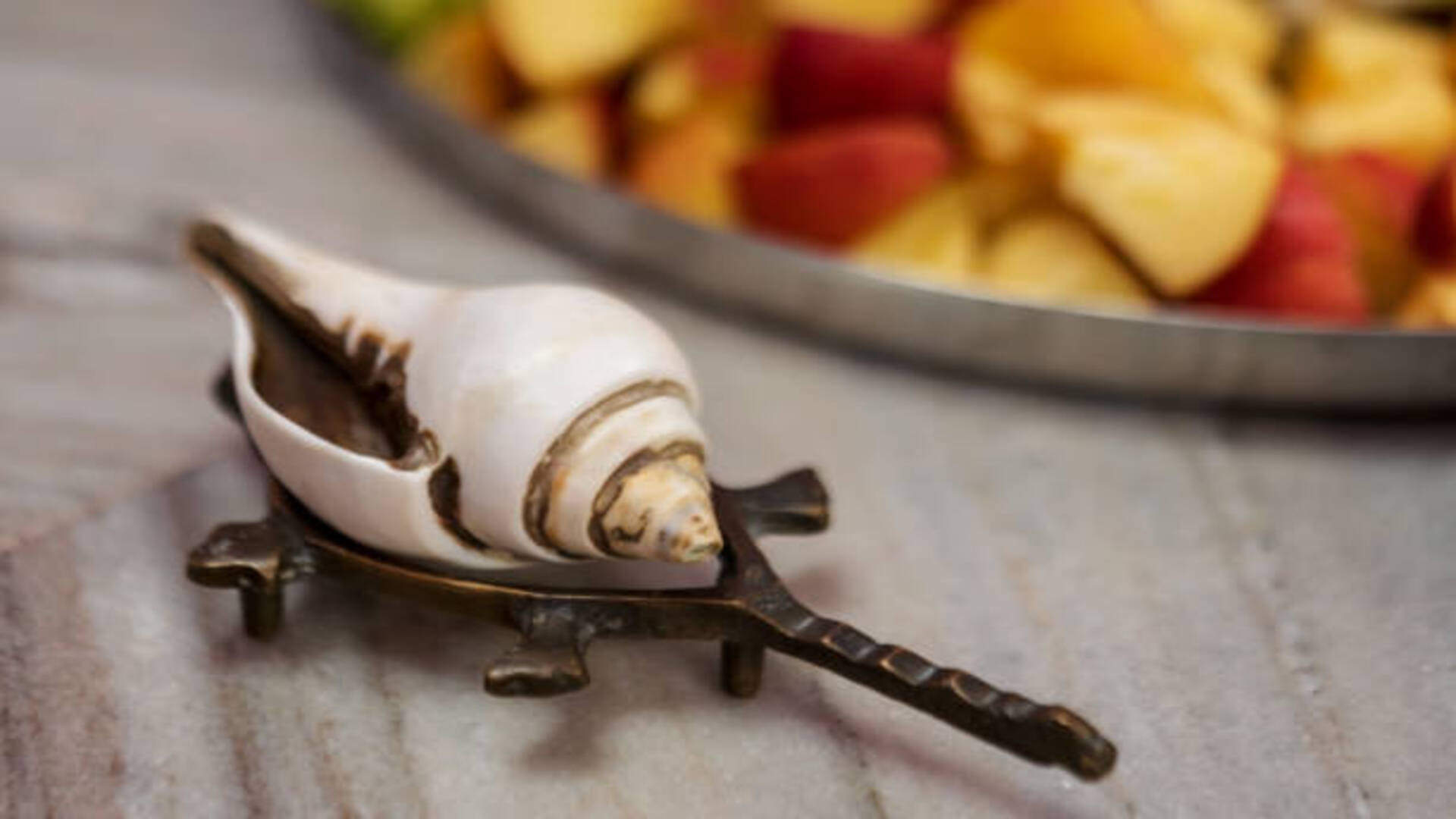 Vastu Tips Religious And Scientific Importance Of Conchshell Know Why Shankh is  Used In Worship