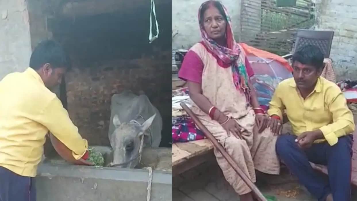 UP Election 2022 Cleaning Worker Became an MLA