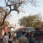 छतरपुर में मामूली बात को लेकर विवाद हुआ तो ई-रिक्शा चालक रस्सी लेकर पेड़ पर चढ़ गया।