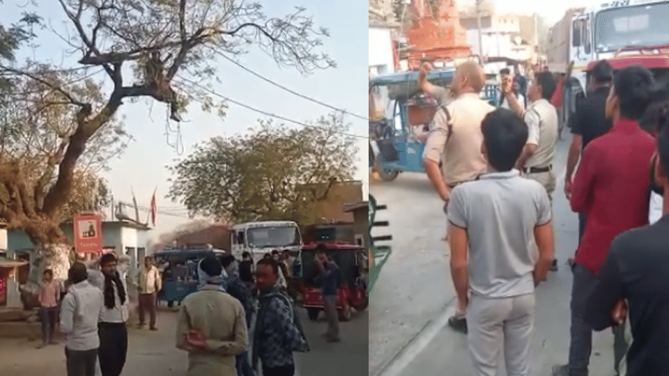 Chhatarpur: After A Clash With Bus Conductor, E-rickshaw Driver Climbed The Tree And Threatens To Hang Himself