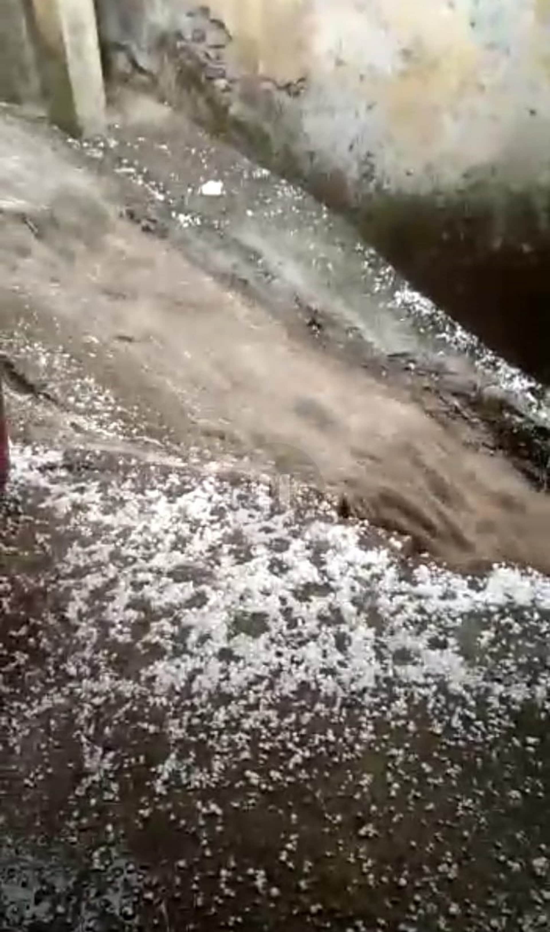 Uttarakhand Weather Update: weather Change in Uttarakhand, crops Damage due to heavy hail, rain in Badrinath Dham, Hemkund Sahib, see phoyo
