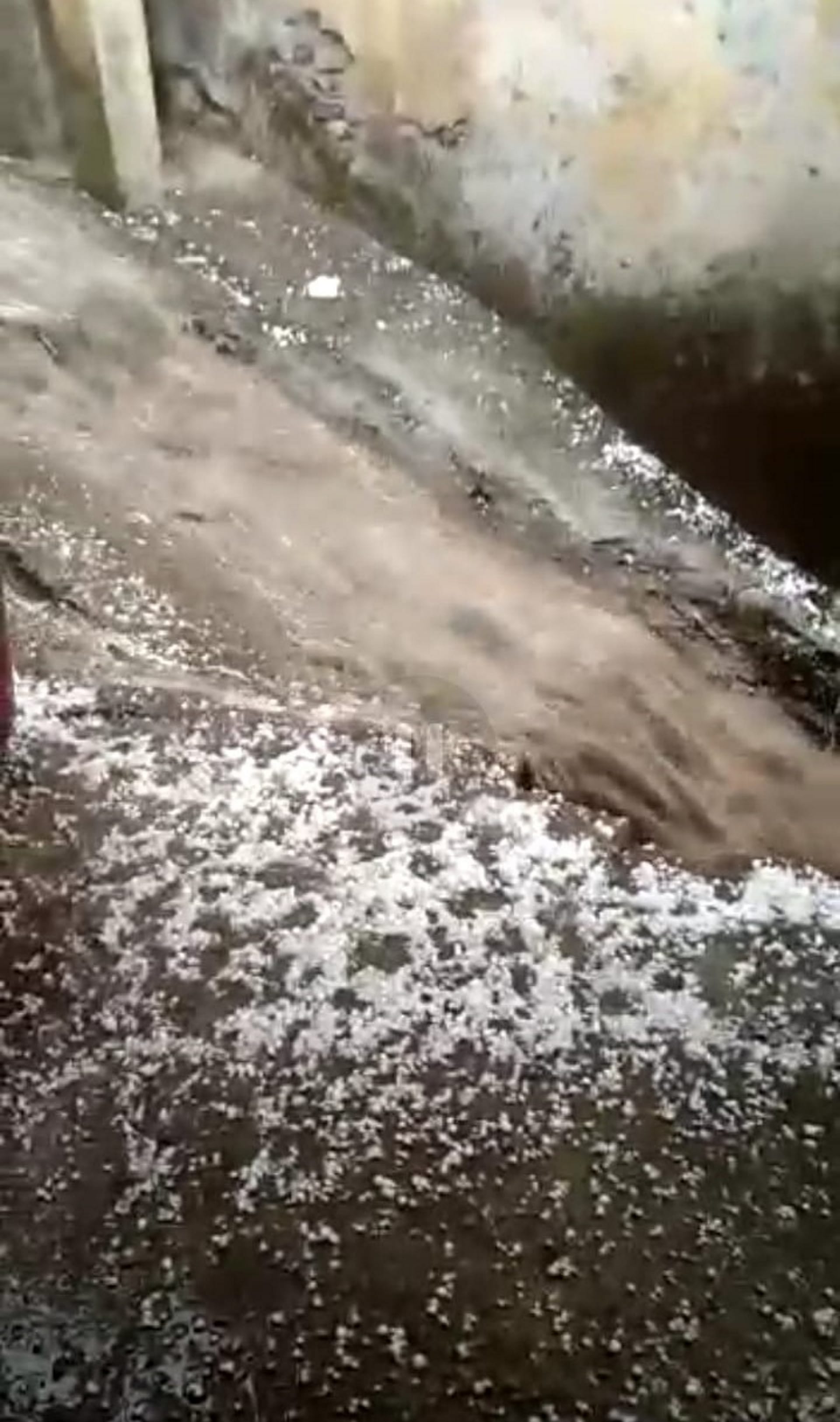 Uttarakhand Weather Update: weather Change in Uttarakhand, crops Damage due to heavy hail, rain in Badrinath Dham, Hemkund Sahib, see phoyo