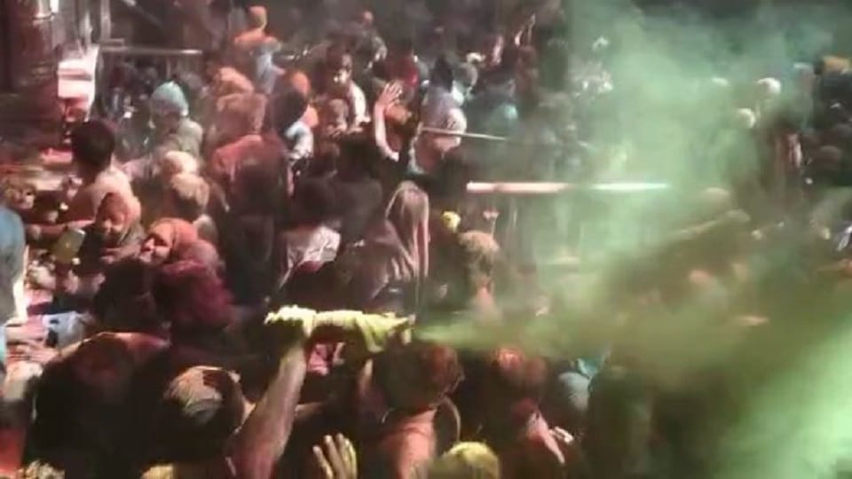 widows play holi in gopinath temple Vrindavan mathura