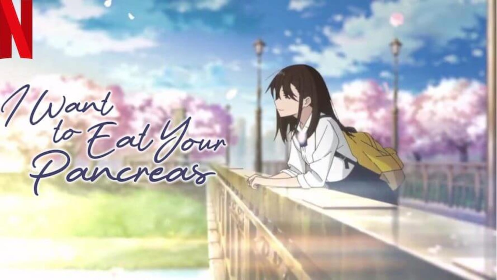 Watch Anime Movies on OTT NetFlix Platform