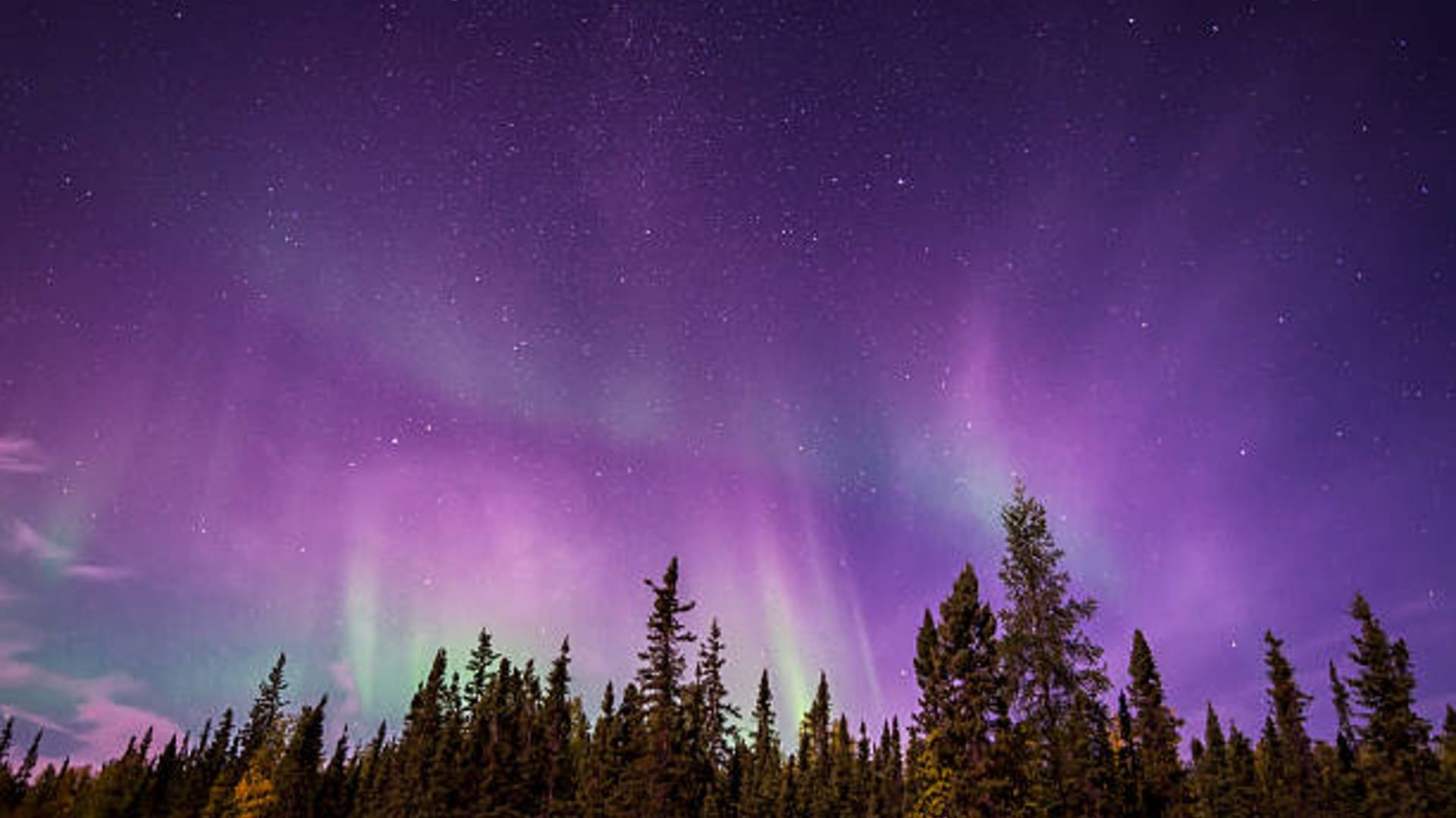 The aurora borealis has seen a spectacular display in many areas of Scotland pictures went viral