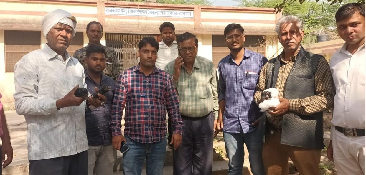 Hathras: Veterinarians surgically removed their babies alive from the stomach of the dead bitch