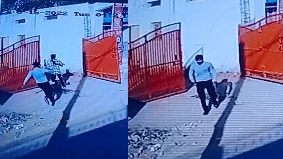 Chhatarpur: Youth attacked and killed with a knife in broad daylight; CCTV recorded the Incident