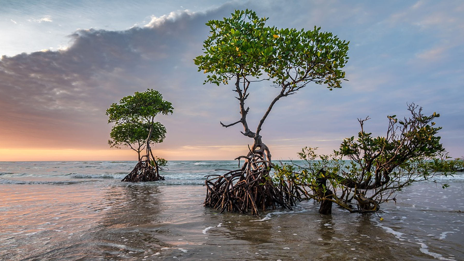 ipcc study warn due to climate change new threat looms over indians mumbai chennai coastal areas will drown
