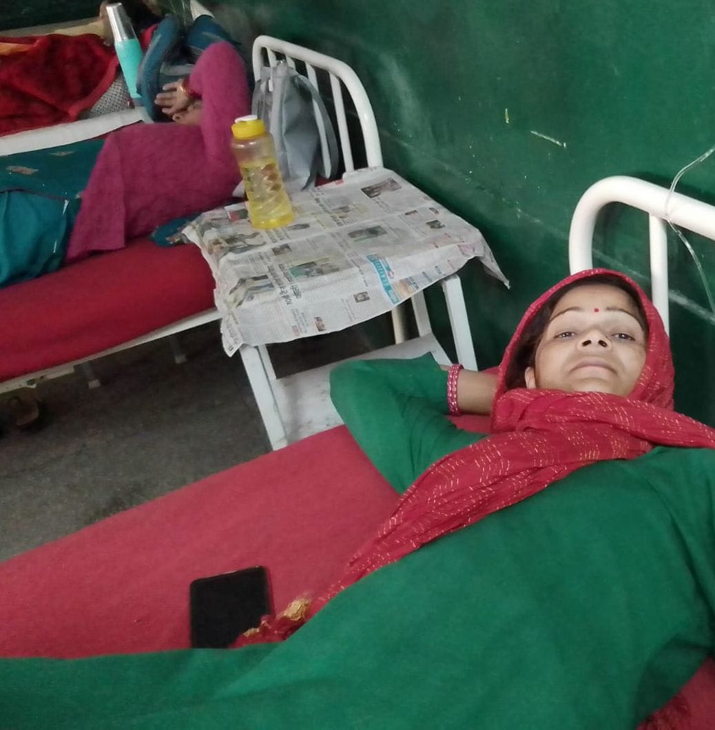Three children, five women injured in bee attack