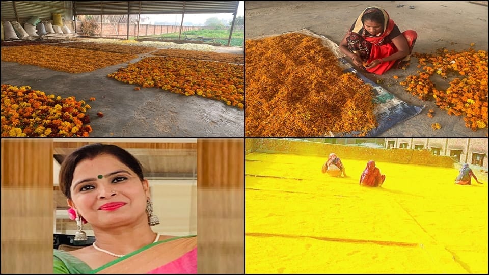 poonam sehrawat of gurugram is doing job of making gulal from flowers of temples