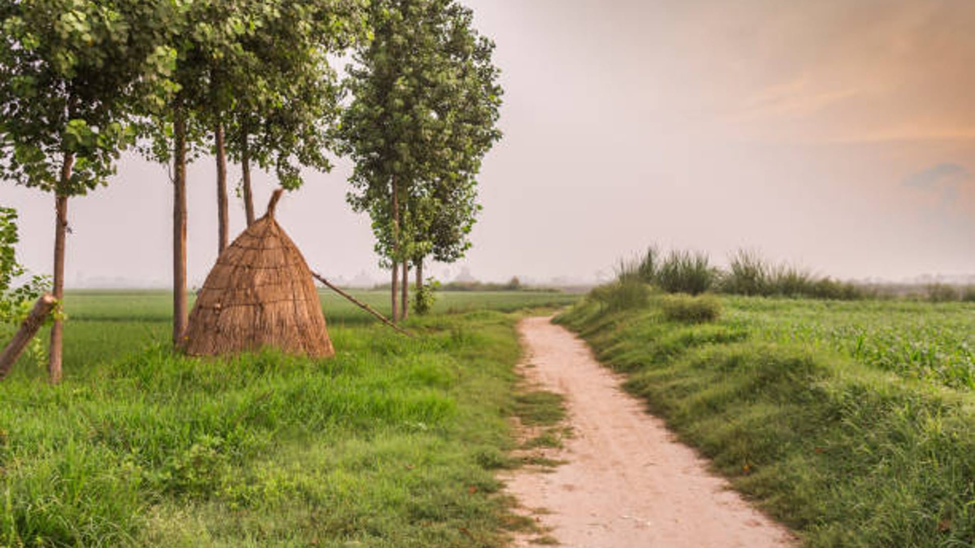 In this village of rajasthan no one locks their house no crime has happened for many years