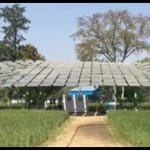 लुधियाना में स्थापित सोलर ट्री।