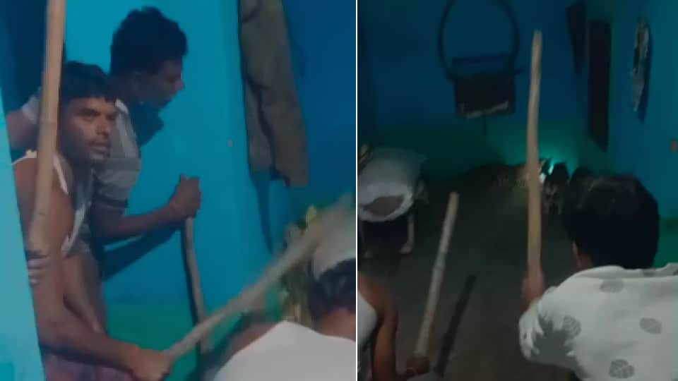 Balaghat: Two leopards entered the house, one ran away with a goat, the villagers surrounded the other with sticks