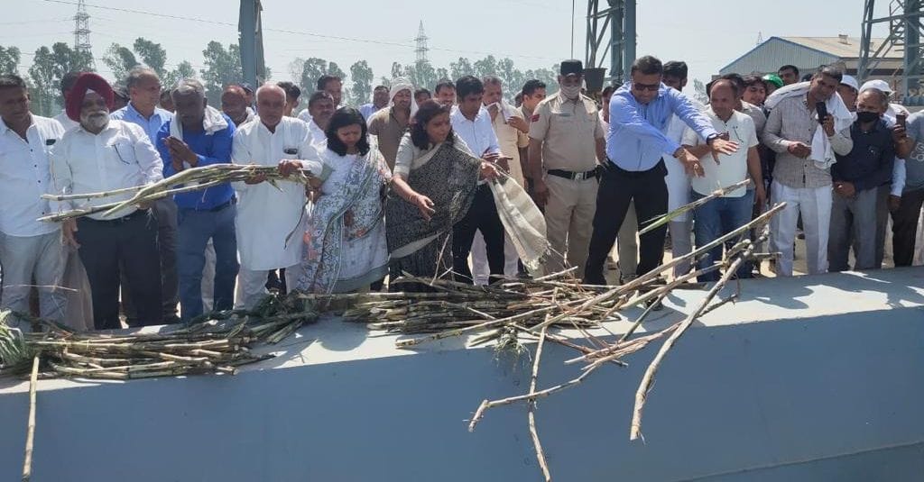Dahar farmers donated a trolley sugarcane