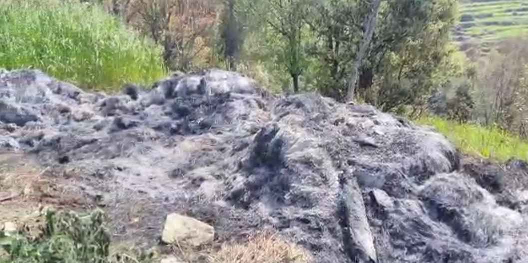 Fire in Grass Pile
