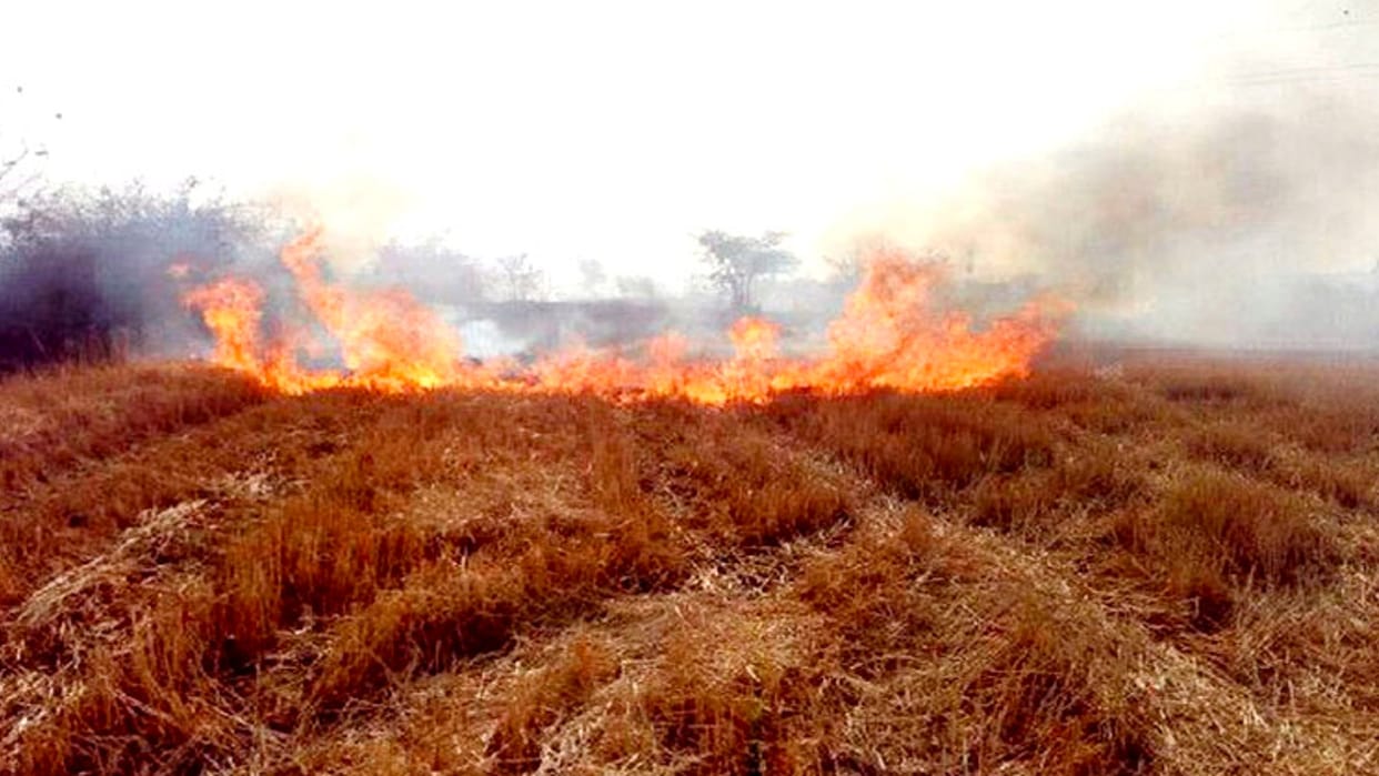 Sehore: Prohibition on burning of shed in the fields with immediate effect, criminal case will be registered for violation of order