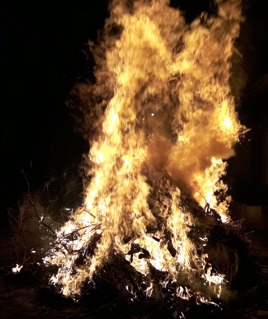 Holika burnt with evils, colors will rain today