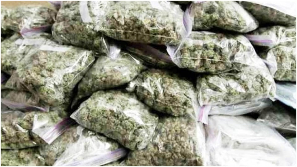Rajasthan news police seized 72 kg ganja in Dholpur