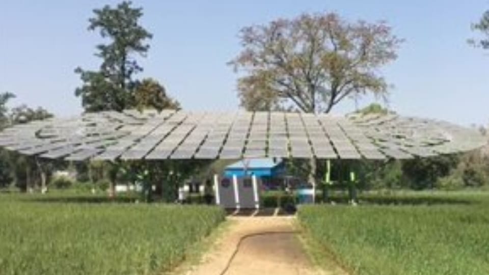 Guinness World Records certifies solar tree installed at Centre of Excellence for Farm Machinery at Ludhiana as world largest solar tree