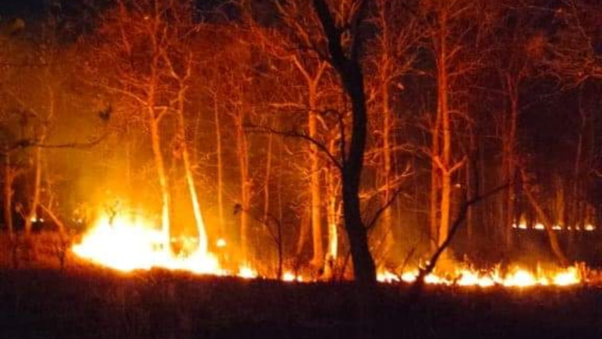 Sehore: A fierce fire broke out in the dense forests spread between Jeevtal and Kolar, found control after hard work