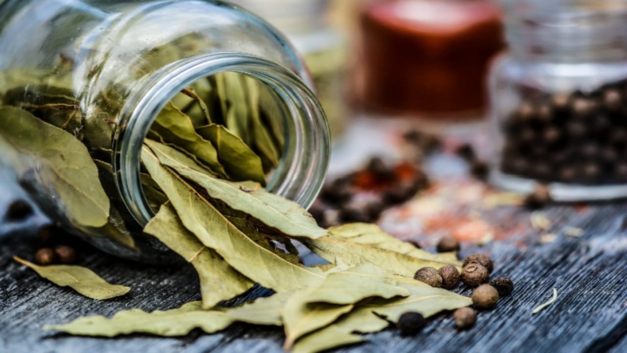 Business Ideas you will earn so much money after starting bay leaf business