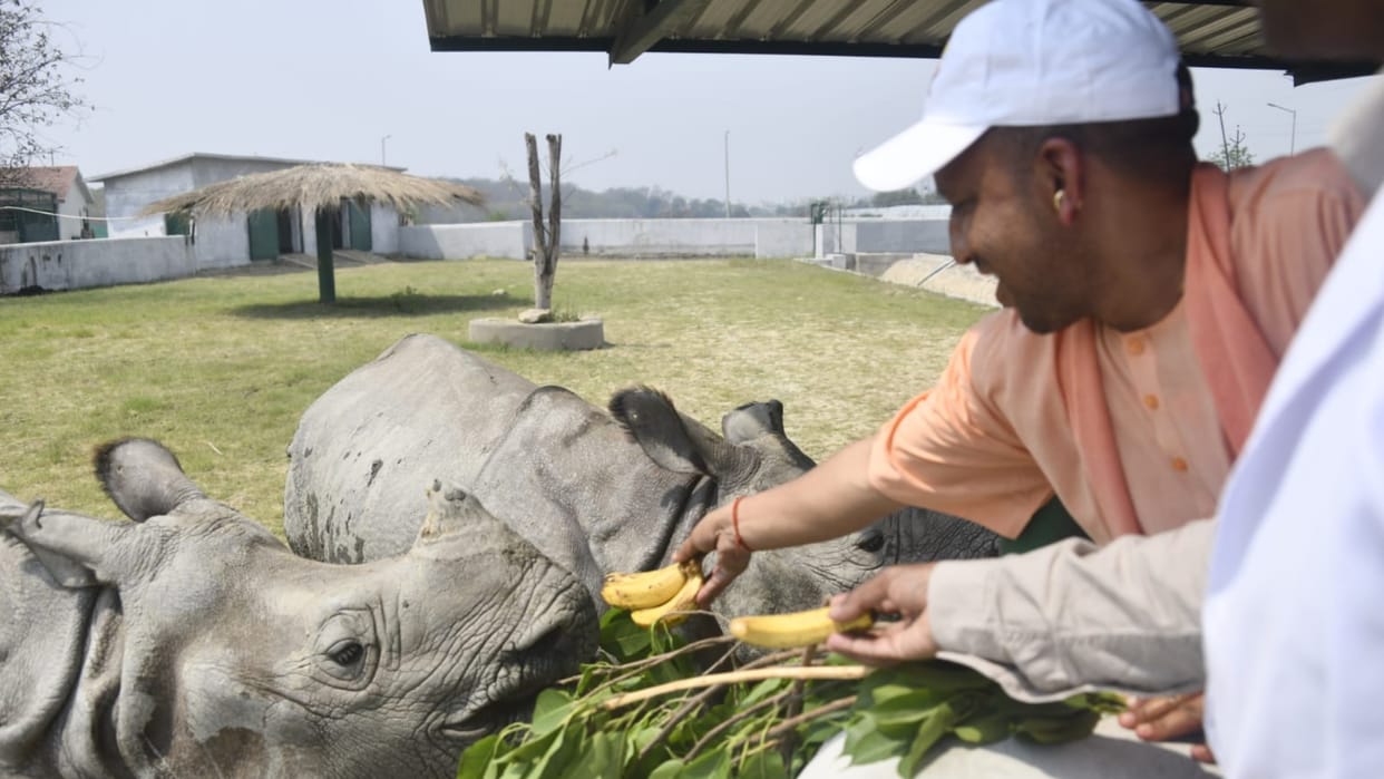 CM Yogi Adityanath inspected Gorakhpur zoo