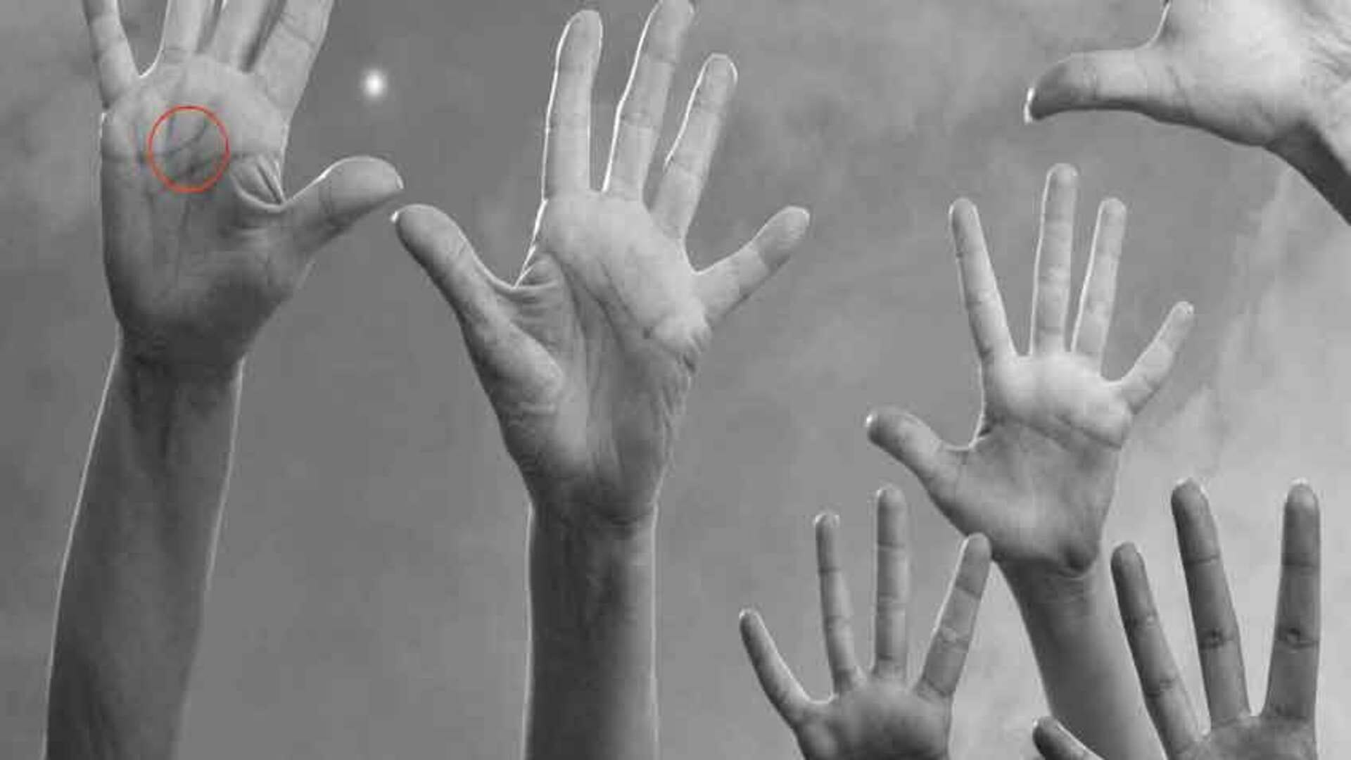 Palmistry people who have shani rekha in hand become rich and successful