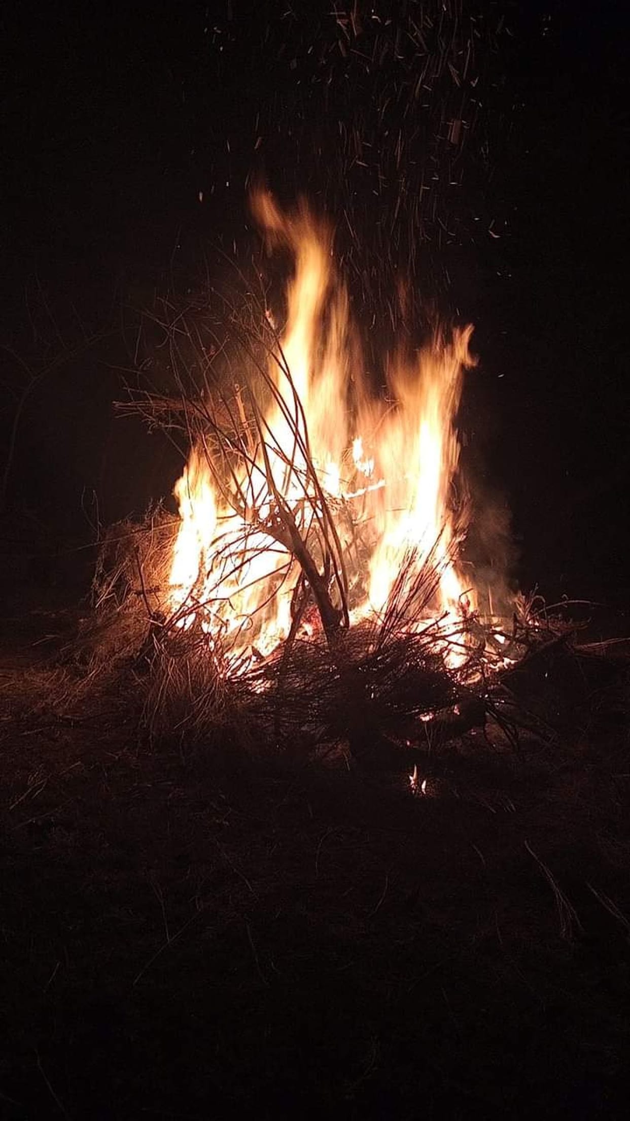 Holika Dahan took place at 1544 places with tradition